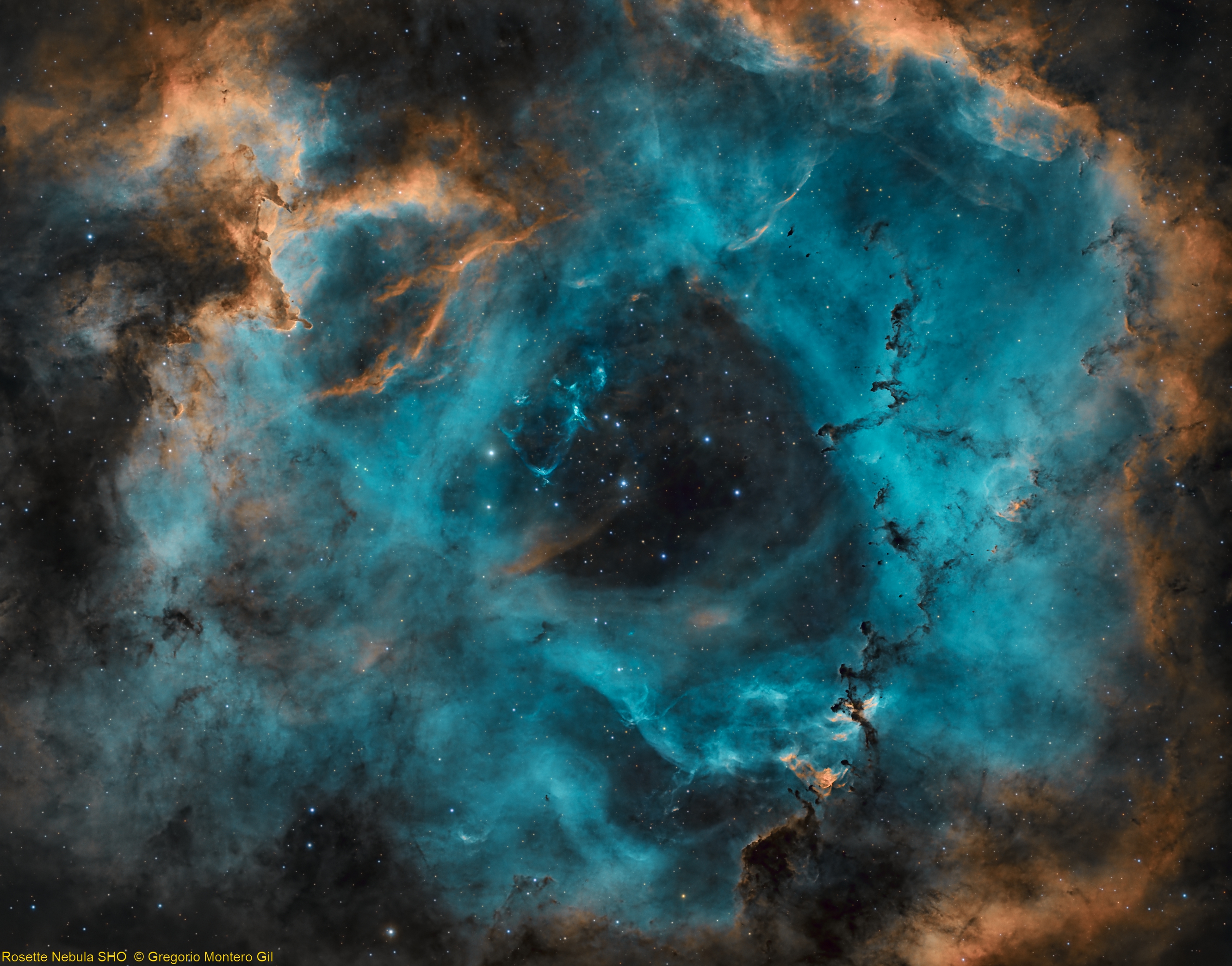 Nebulosa Roseta